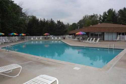 MarysvilleSt. Clair Camping Resort的一个带椅子和遮阳伞的大型蓝色游泳池