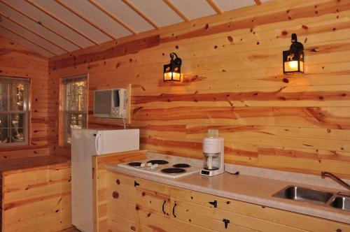Lyndon StationYukon Trails Camping Resort的小木屋内的厨房配有炉灶