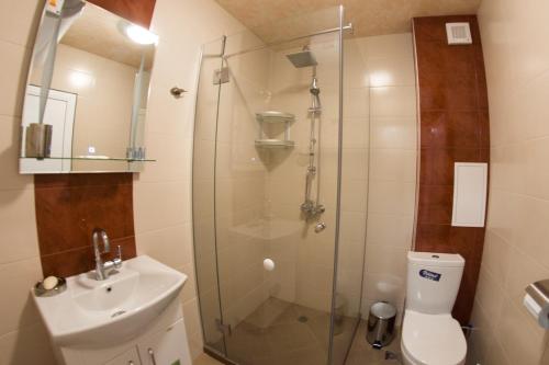 希萨里亚Nasred grada的带淋浴、卫生间和盥洗盆的浴室