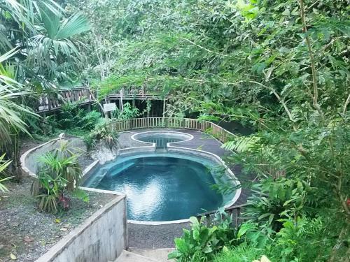 努基Cabañas Refugio Salomon的花园内的一个小型游泳池,花园内种有树木
