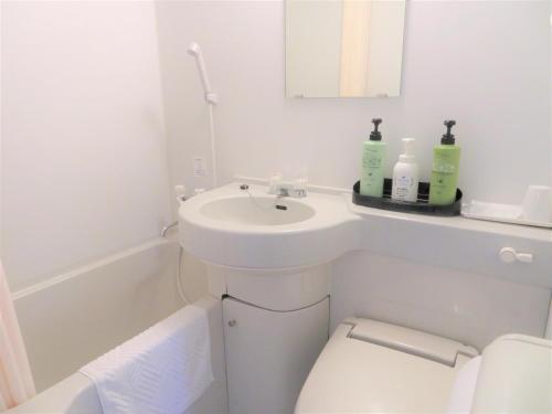 埼玉市埼玉新酒店的一间带水槽、卫生间和镜子的浴室