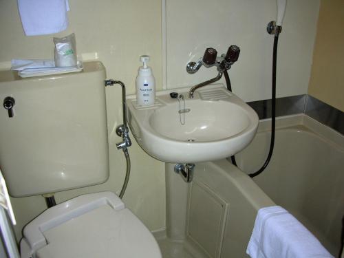 丰中A.P酒店的一间带水槽和卫生间的小浴室