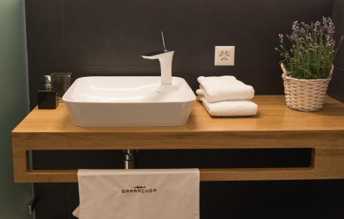 伦茨堡拜拉库达酒店的一间带水槽和台面毛巾的浴室
