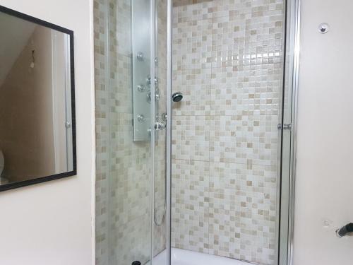 科巴罗港口之家酒店的浴室里设有玻璃门淋浴