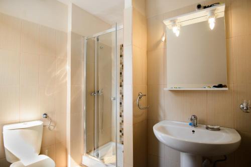 布拉索夫斯法图雷住宅广场酒店的带淋浴、卫生间和盥洗盆的浴室