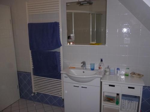 博维茨Chalet Bovec的一间带水槽和蓝毛巾的浴室