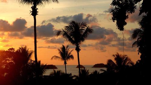 象岛象岛绿洲别墅酒店的大海前棕榈树的日落