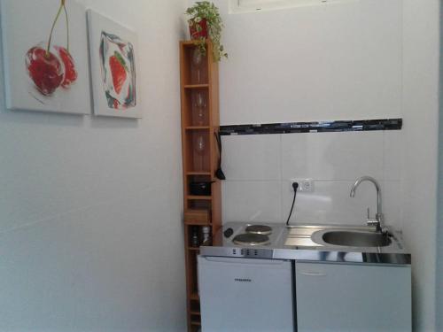 施泰尔Apartment im Zentrum Steyr, 2 Betten BESTROOMS eU的厨房配有水槽和台面