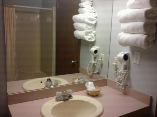 欧塞奇比奇鹌鹑巢套房酒店的浴室配有盥洗盆、镜子和毛巾