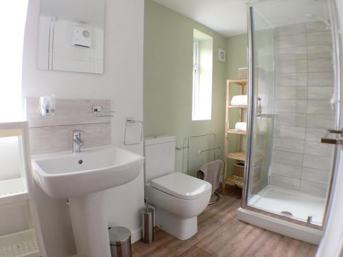 沃尔索尔Phoenix House Apartments的浴室配有卫生间、盥洗盆和淋浴。