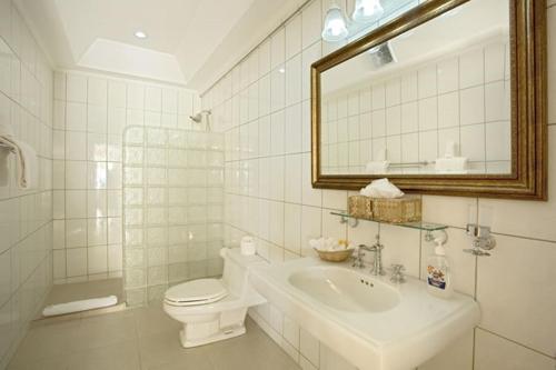 卡斯特里Villa Beach Cottages的一间带水槽、卫生间和镜子的浴室