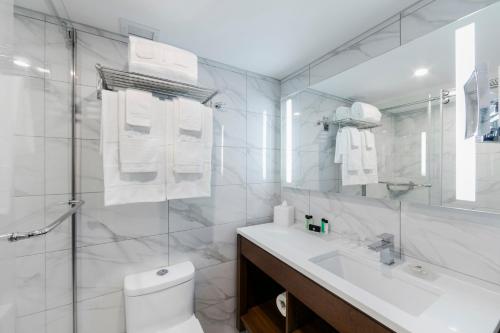 舍布鲁克谢布克古弗尼尔酒店的一间带水槽、卫生间和镜子的浴室