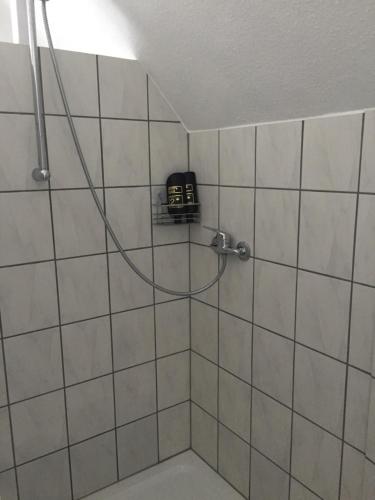 Schwabenheim施塔特美因茨酒店的浴室内配有带肥皂器的淋浴