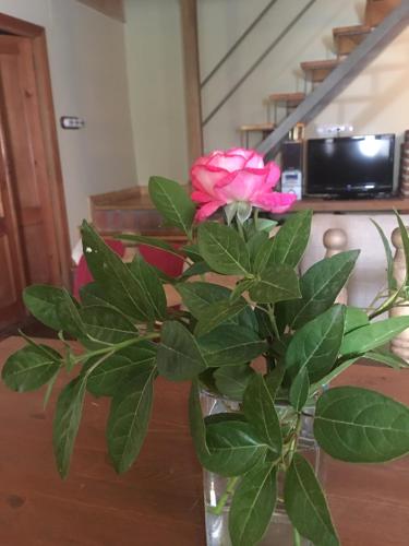 Linares de Riofrío卡萨吉姆莫里森农家度假屋的一张桌子上挂着粉红色玫瑰的花瓶