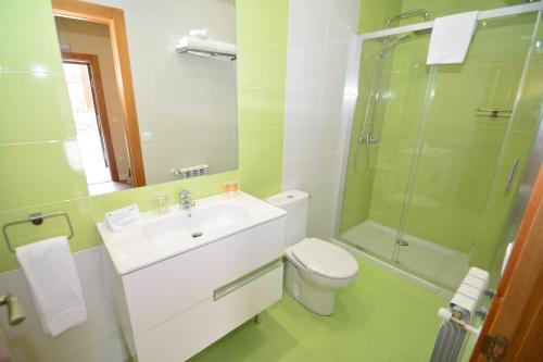 博迪利奈斯埃尔卡明酒店的浴室配有卫生间、盥洗盆和淋浴。