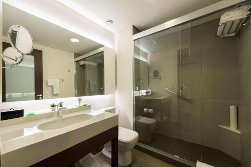 普雷图河畔圣若泽Hyatt Place Sao Jose do Rio Preto的一间带水槽、卫生间和淋浴的浴室