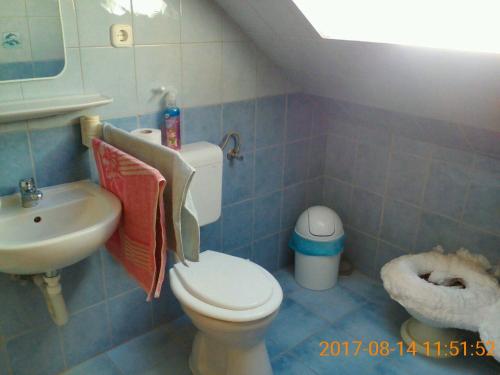 多博戈科Dobogókő vendégház的一间带卫生间和水槽的浴室