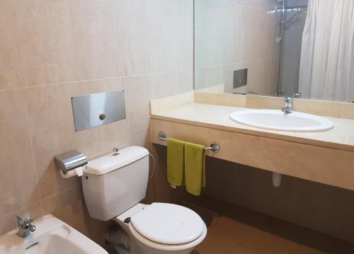 瓦迪穆萨佩特拉宫殿酒店 的浴室配有白色卫生间和盥洗盆。
