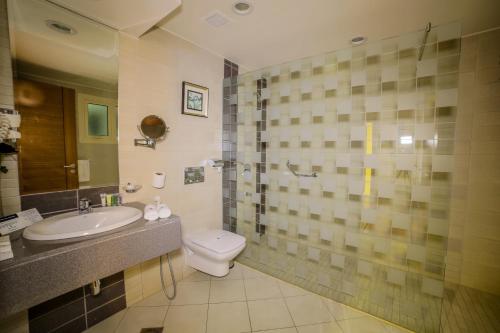 布赖代布赖代盖西姆金色郁金香酒店的浴室配有卫生间、盥洗盆和淋浴。