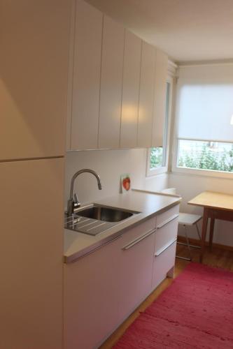 拉萨Haus Ilse & Karl Heinz的厨房配有水槽和冰箱