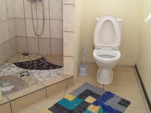 阿瓦托鲁Pension Turiroa " Chez Olga"的带淋浴和卫生间的浴室以及地毯。