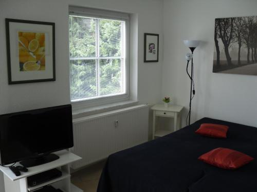 布劳恩拉格松嫩沙因公寓的一间卧室设有一张床、一台电视和一个窗口。