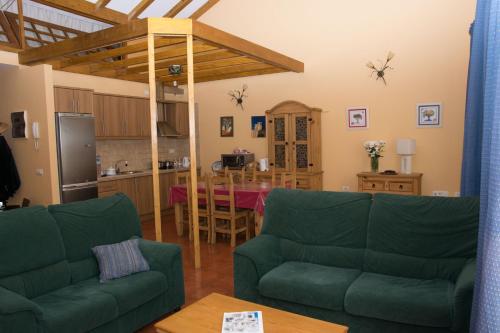 加拉奇科Casa en Garachico的一间带两张绿色沙发的客厅和一间厨房