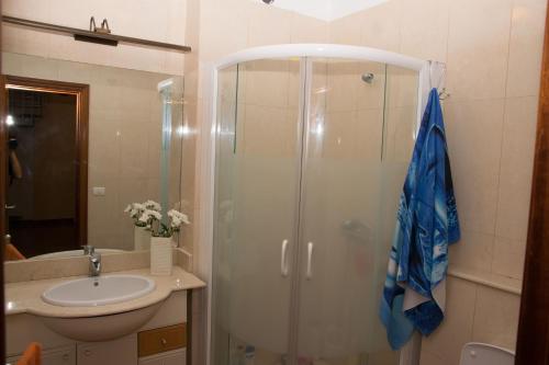 加拉奇科Casa en Garachico的一间带玻璃淋浴和水槽的浴室