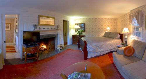巴恩斯特布尔绵羊狮子酒店的客厅设有一张床和一个壁炉