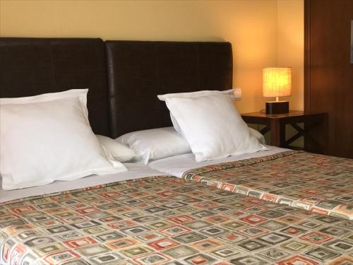 阿兹纳尔卡扎尔林塞酒店的一间卧室配有带两个枕头和一盏灯的床