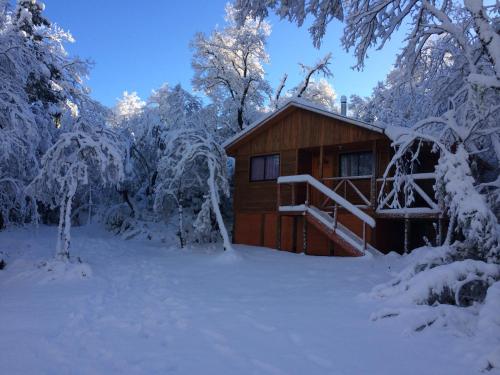 拉斯特朗卡斯Cabañas Los Cuatro Robles的雪中小屋,有雪覆盖的树木