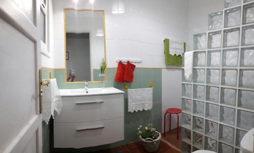 圣克鲁斯-德特内里费Casa María Cristina 3的一间带水槽和镜子的浴室