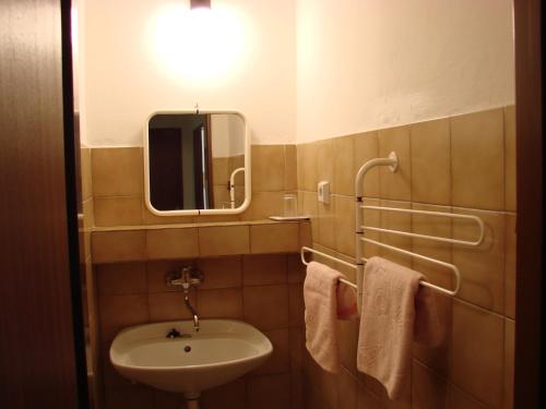 帕尔杜比采克里斯勒酒店的浴室配有盥洗盆、镜子和毛巾