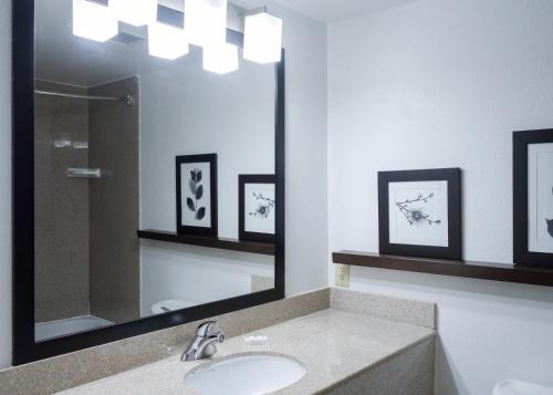 国会山高地马里兰州华盛顿哥伦比亚特区东部国会山高地卡尔森江山旅馆及套房酒店的一间带水槽和大镜子的浴室