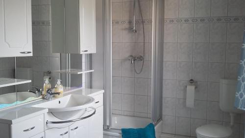 KleingießhübelFerienwohnung Bergblick的带淋浴、盥洗盆和卫生间的浴室