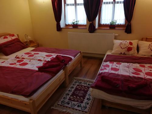 BecsehelyVitis Vendégház的配有窗户的客房内的两张床