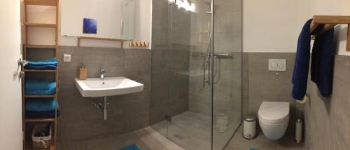AmlachAppartement Schusternagele的带淋浴、盥洗盆和卫生间的浴室