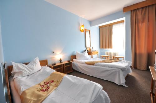 康斯坦察多布罗吉酒店的酒店客房设有两张床和窗户。