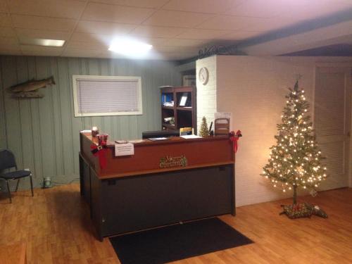 伊利Steelhead Inn的一间办公室,房间里有圣诞树