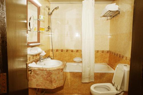 阿布扎比皇家半岛酒店的一间带水槽、卫生间和淋浴的浴室