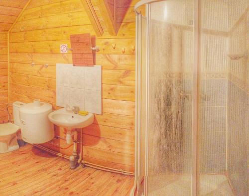 KryžkalnisPas Medžiotoją Motelis的带淋浴和盥洗盆的浴室