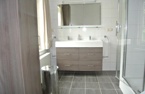 马斯特里赫特Aldenhof Appartementen的一间带水槽和镜子的浴室