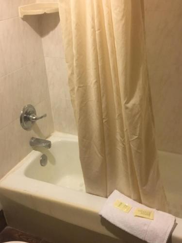 瓦鲁洛奇布希花园坦帕汽车旅馆的一间浴室