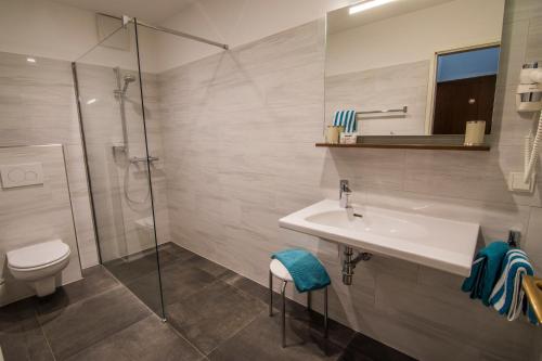 特里本崔伯尼尔霍夫酒店的一间带水槽、淋浴和卫生间的浴室