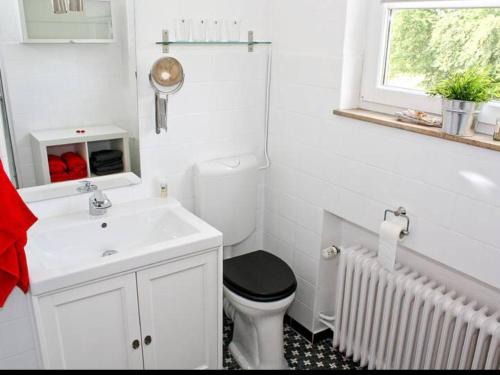 巴德茨维什安Dat Ferienhus的白色的浴室设有卫生间和水槽。