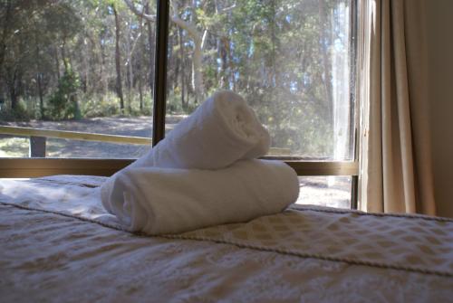 Fitzroy Falls双子瀑布布什小屋的一堆毛巾坐在床上,靠窗