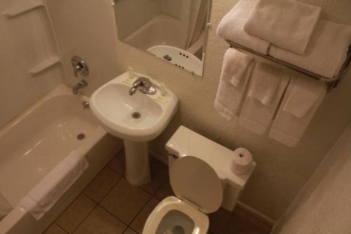 芒特弗农皇家旅馆的浴室配有白色卫生间和盥洗盆。