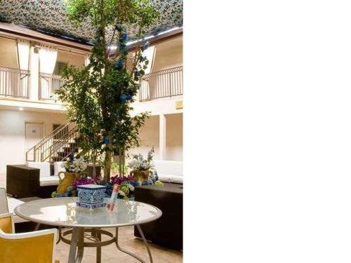 洛杉矶洛杉矶天空精品酒店的一间设有桌子和一棵树的房间,以及一座建筑