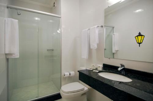 伊茹伊Hotel Jardim Europa的一间带玻璃淋浴、卫生间和水槽的浴室