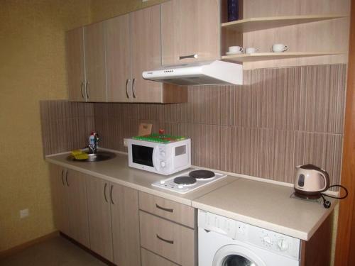 克洛佩夫尼茨基Apartment on Hoholya 90的一间带炉灶和微波炉的小厨房